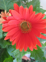 Fotografías y mas: EL SUPÍ