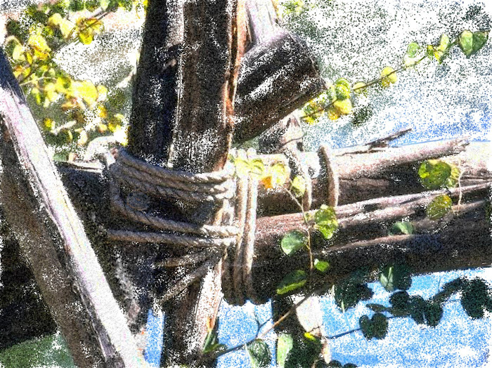 Fenceposts - Chalk - Summer