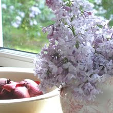 lilacs