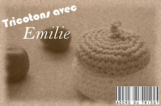 blog tricot