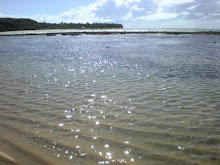 Praia do Espelho - Trancoso-BA