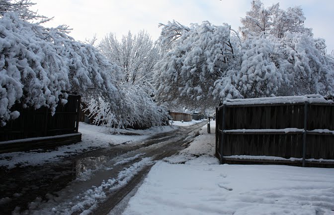 Looking down our alley