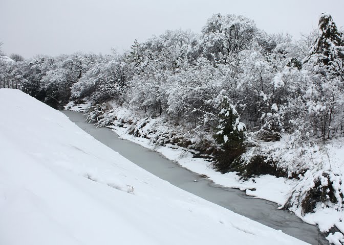 Grapevine Springs Park