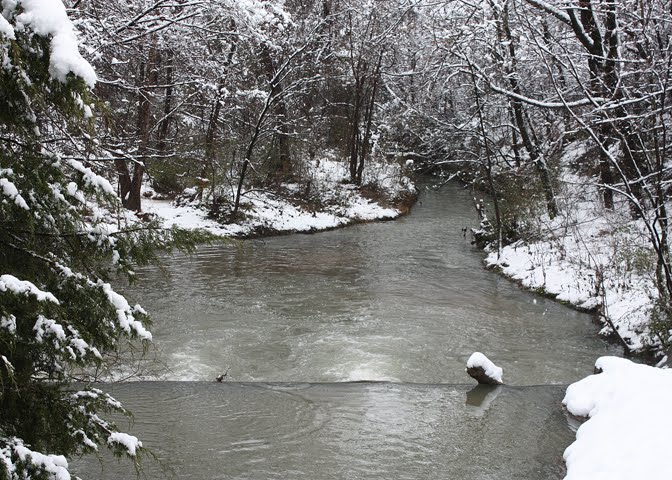 Grapevine Springs Park running stream