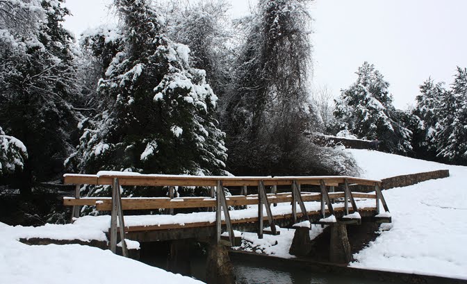 Bridge at Grapevine Springs Park