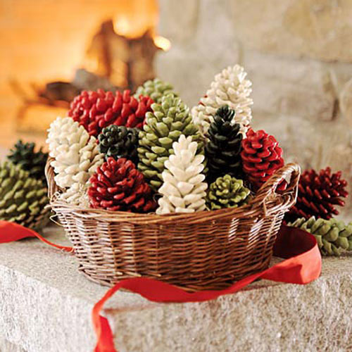 http://1.bp.blogspot.com/_Oru85PggvJw/Sp0vzDL9V5I/AAAAAAAACR8/e2PlT5jrb0w/s1600/pinecone+7.jpg