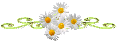 58434114_92e68abfb5e56a20e484fb25b9.png
