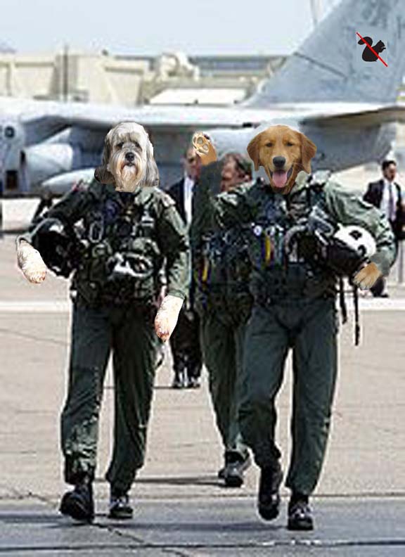 [Tank+and+Miley.jpg]