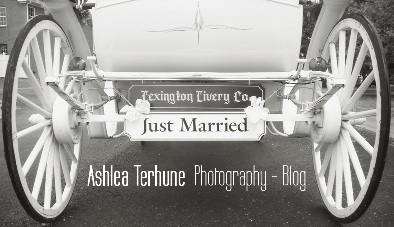 Nashville Wedding Photographer - Ashlea Terhune Photography