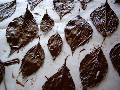  Mousse de chocolate 