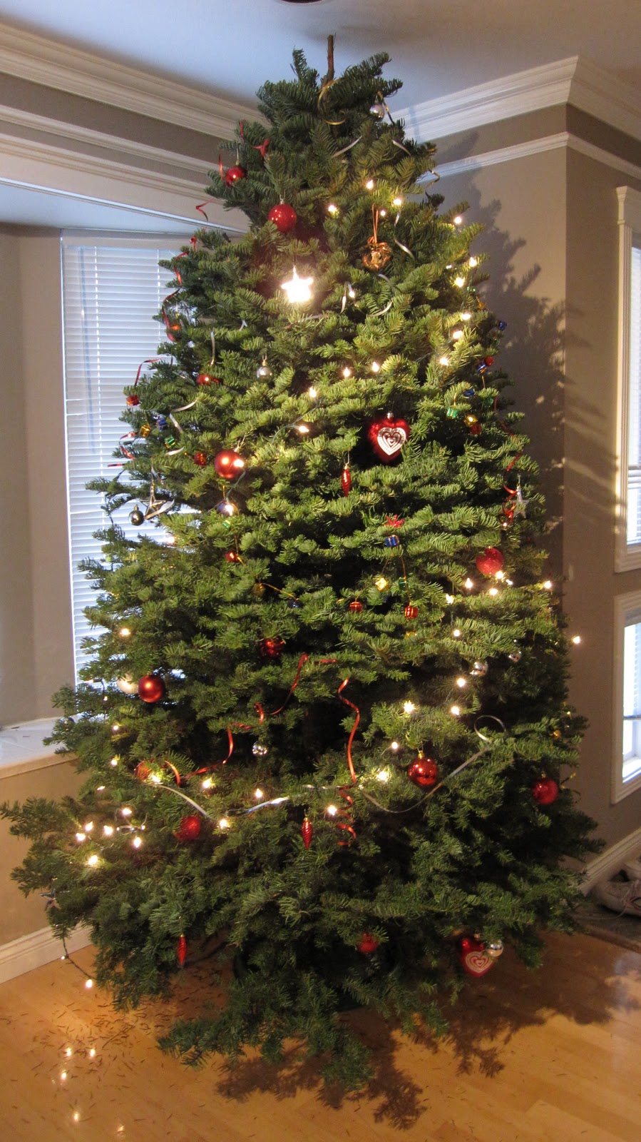 The Path of the Maple: Merry Christmas!