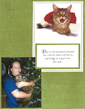 The Cat's Christmas Card