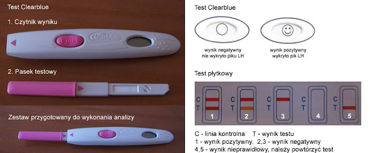 WYNIKI TESTÓW OWULACYJNYCH