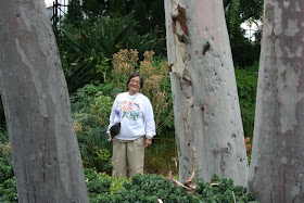 Brookside Baby: 2008