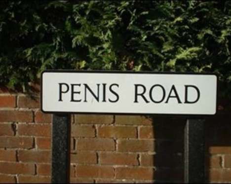 [penis.jpeg]