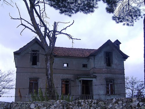 [2399296281_834048779e.jpg]