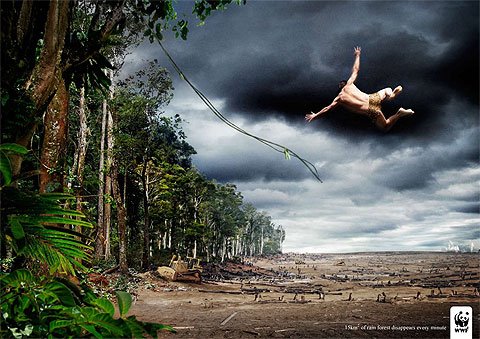 [wwf1ov8.jpg]