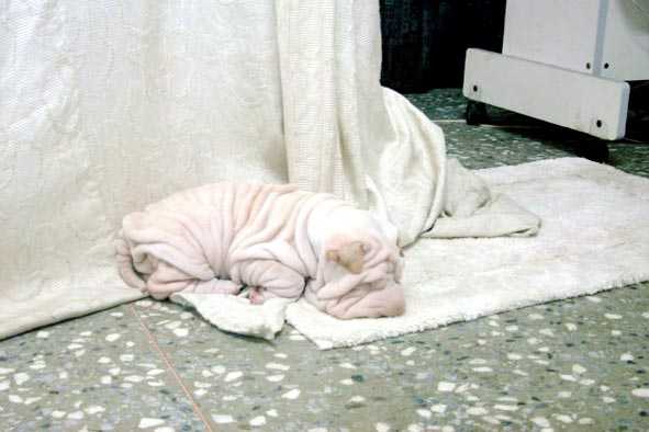 [Don002.jpg]