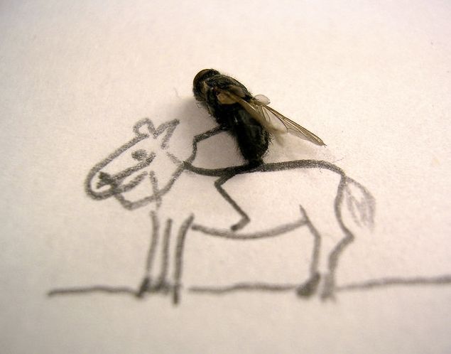 [image004.jpg]