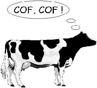 [VACA20bn20grande.png]