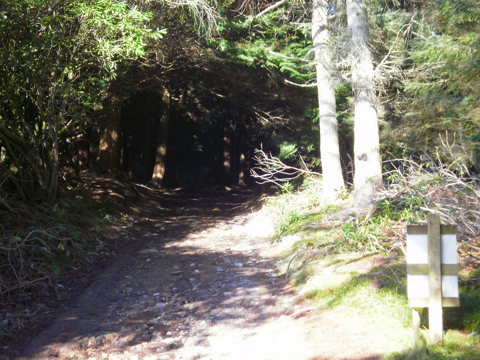 [P2200024.jpg]