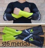 Merida