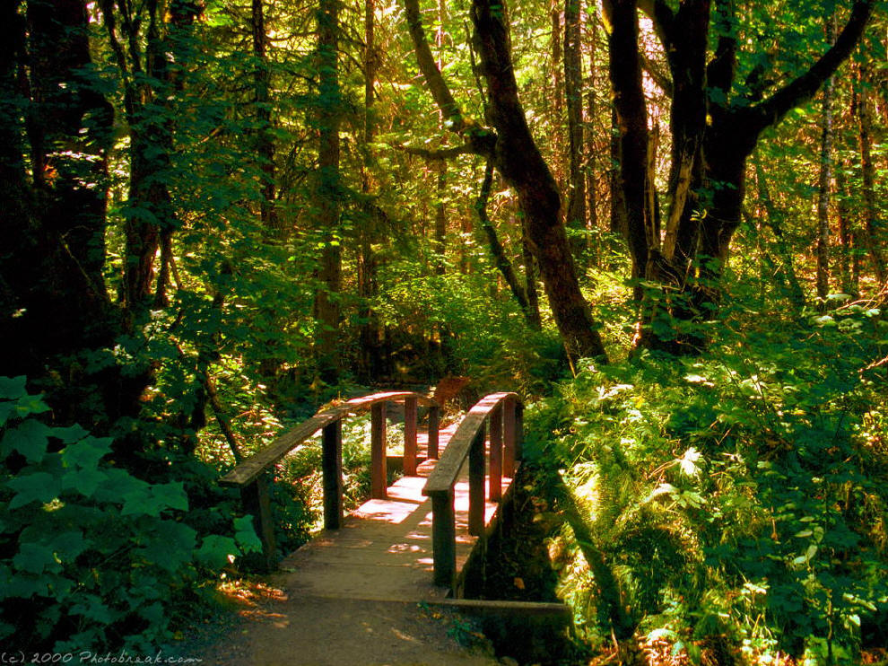 [el+puentecito+del+amor.jpg]