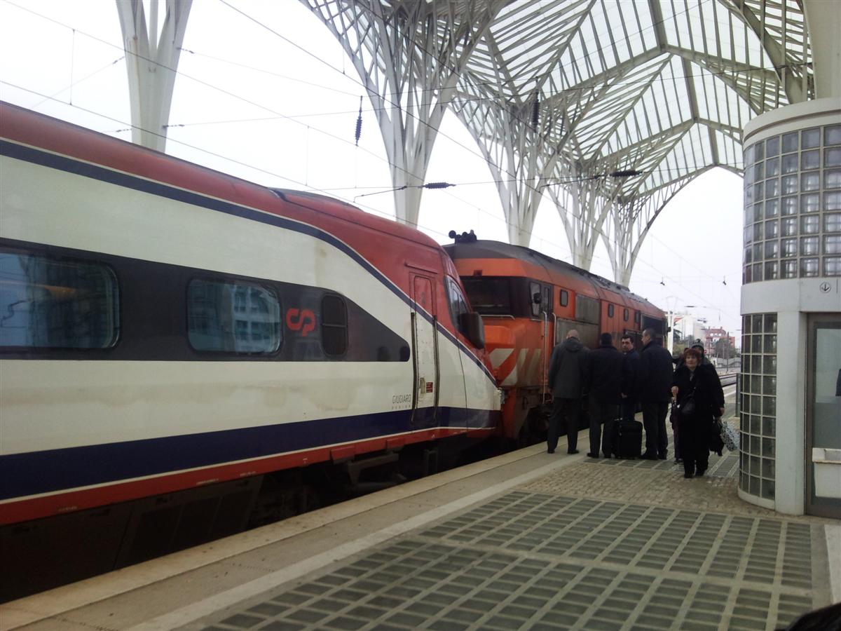 [Photo006+(Custom).jpg]