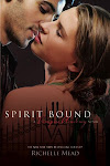 VA 5 - Spirit Bound