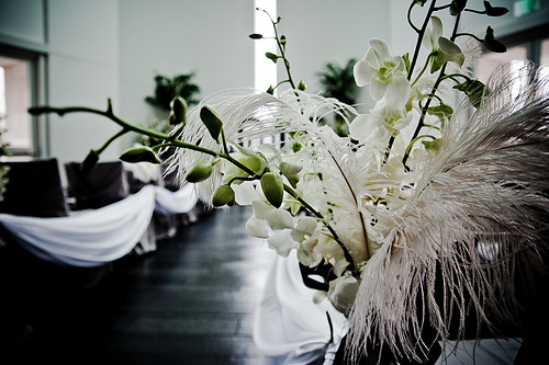 White wedding decor, White wedding decor pictures