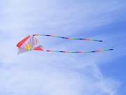 Cometa playa Tamarit