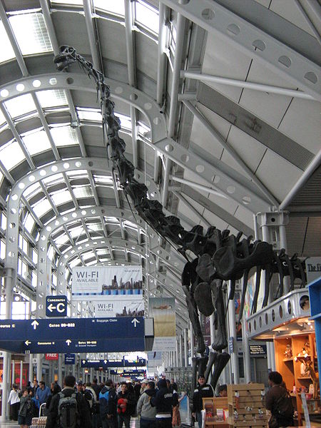 GregLSBlog: Chicago Dinosaurs: Field Museum of Natural History