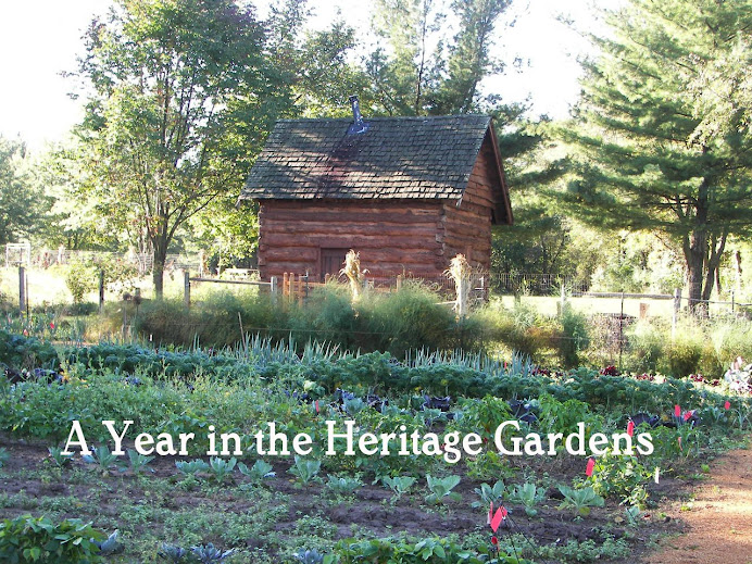 A Year In The Heritage Gardens