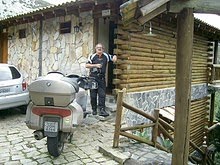 MOTOCICLOVIRUSLENTUS