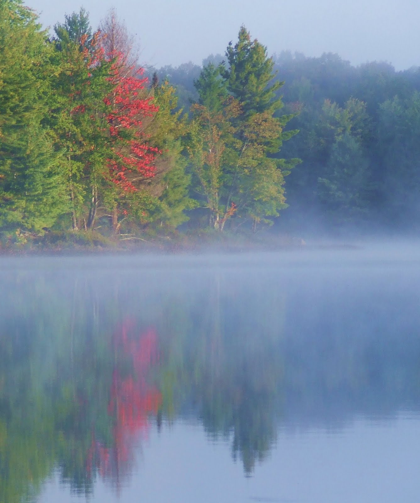 Ontario's Outdoor Activities Bottle Lake