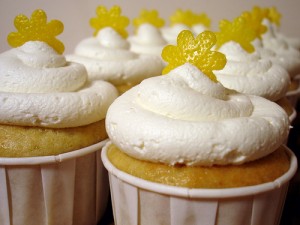 [cupcake2.jpg]