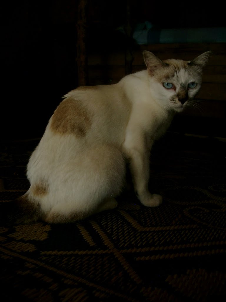 [IMGP4952.JPG]