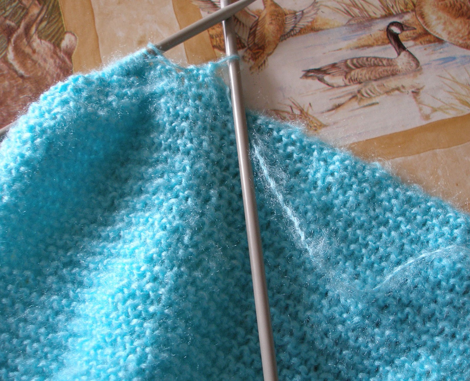 First Completed Knitting Project!