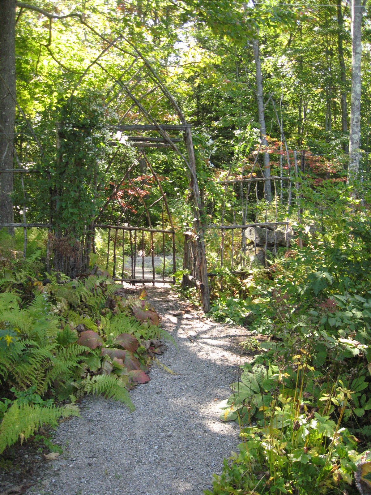 she's in the kitchen: fresh spinach-arugula soup and a magical garden