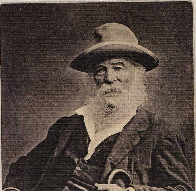 la nave de los locos WALT