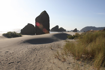 monolith in the sand