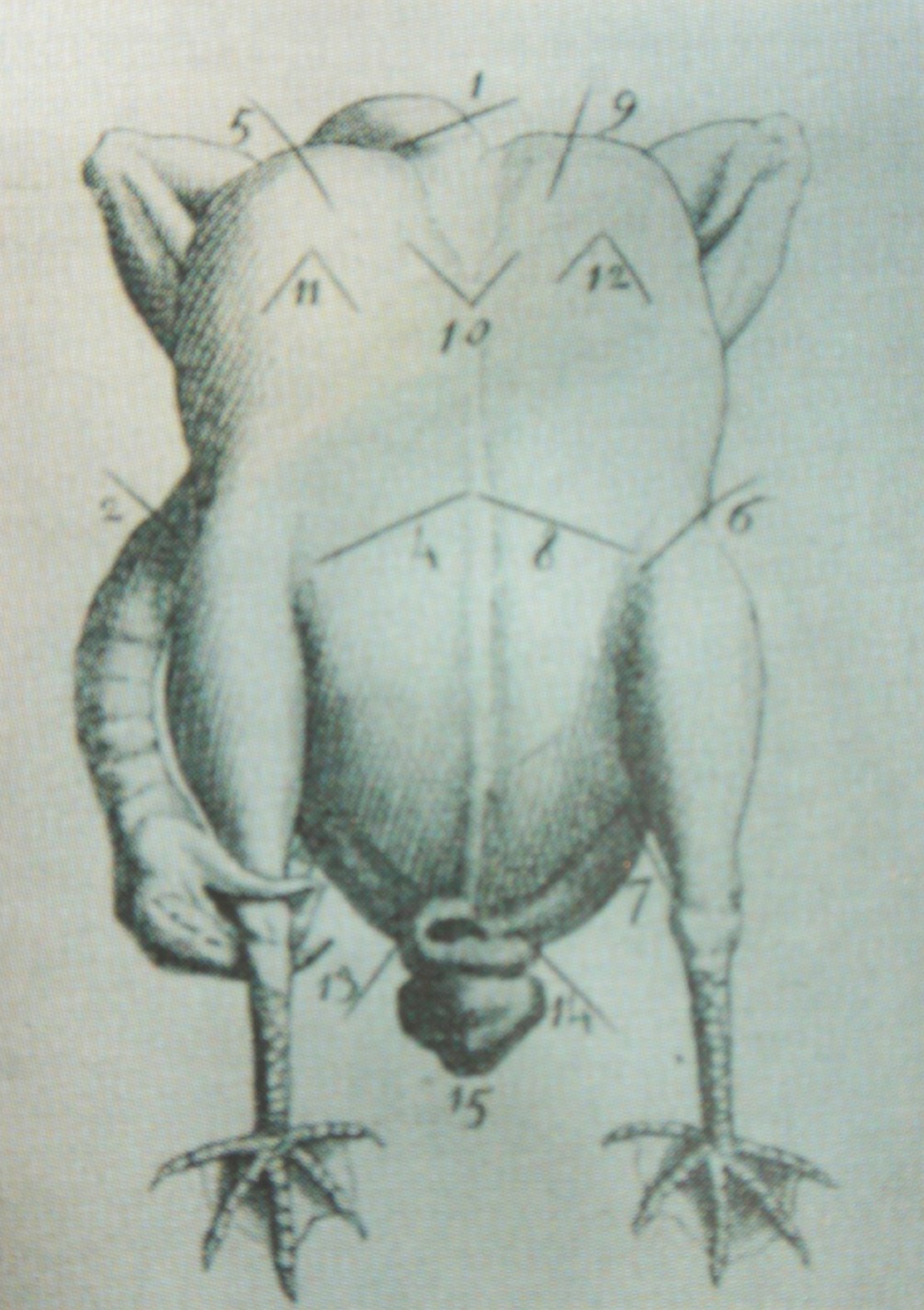 [L'ArtdeTrancher+015+(1).jpg]