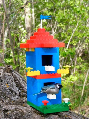 LEGO Quest Kids: Bird House Photos