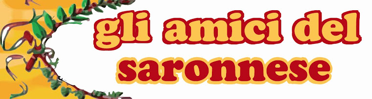 "Gli Amici di Beppe Grillo del Saronnese"