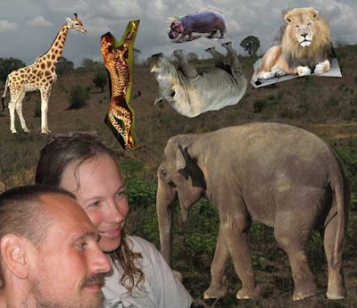 The proof that we have seen all the important animals Genuine And Cool Safari Photo