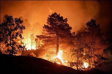 Fuegos forestales en República Dominicana quema cinco millones de árboles en dos meses!