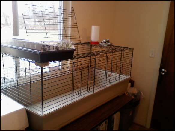 [371613838_1281962444_0.jpeg]