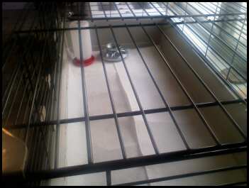 [371639144_1282053837_0.jpeg]