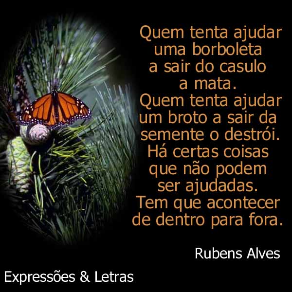 O OLHAR DO EDUCADOR Rubem Alves O OLHAR DO EDUCADOR Rubem Alves