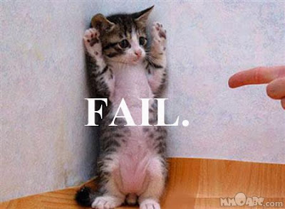 fail_cat_4.jpg